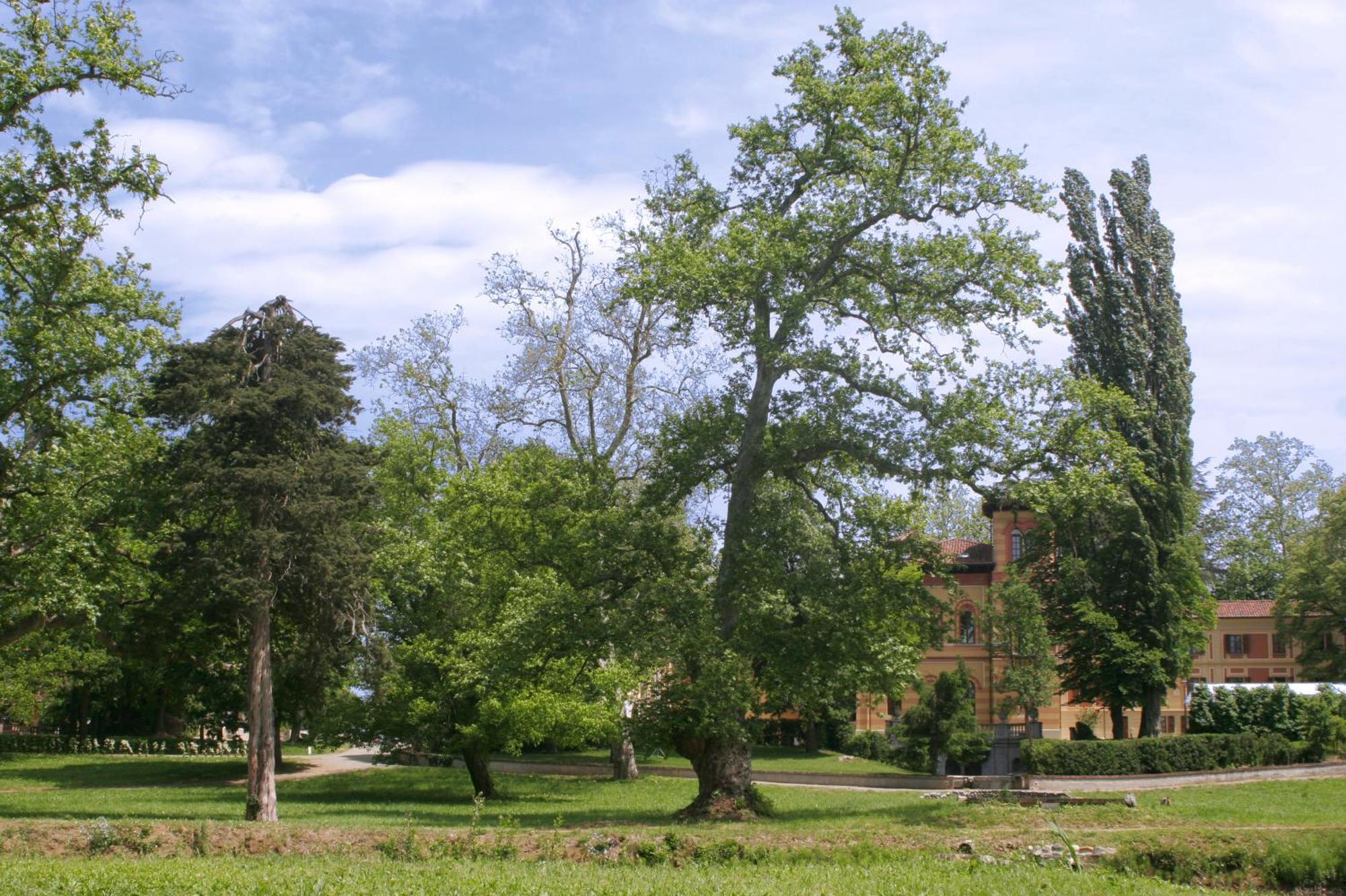 Villa Scati Bed And Breakfast Melazzo Eksteriør bilde